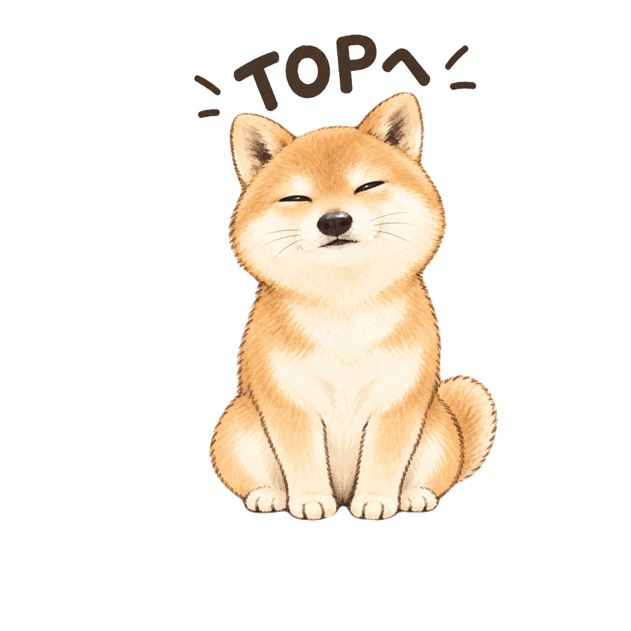 ページの一番上へ戻る